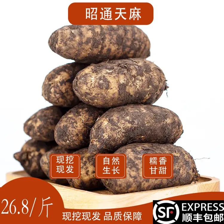 云南昭通天麻小草坝新鲜采挖野生种植食用乌天麻适合送礼