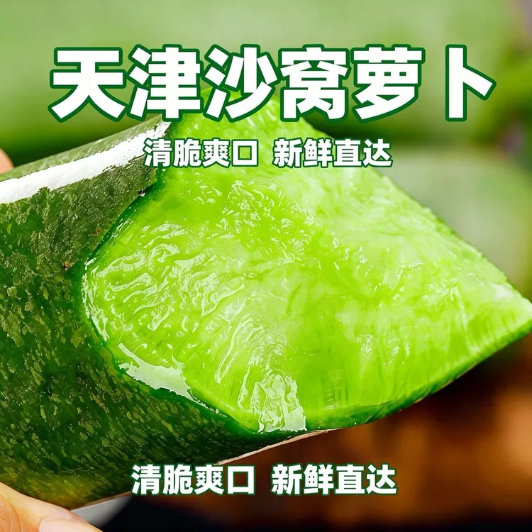 天津正宗沙窝水果萝卜青萝卜新鲜5斤-9斤装生吃清脆（陆地天星2号）