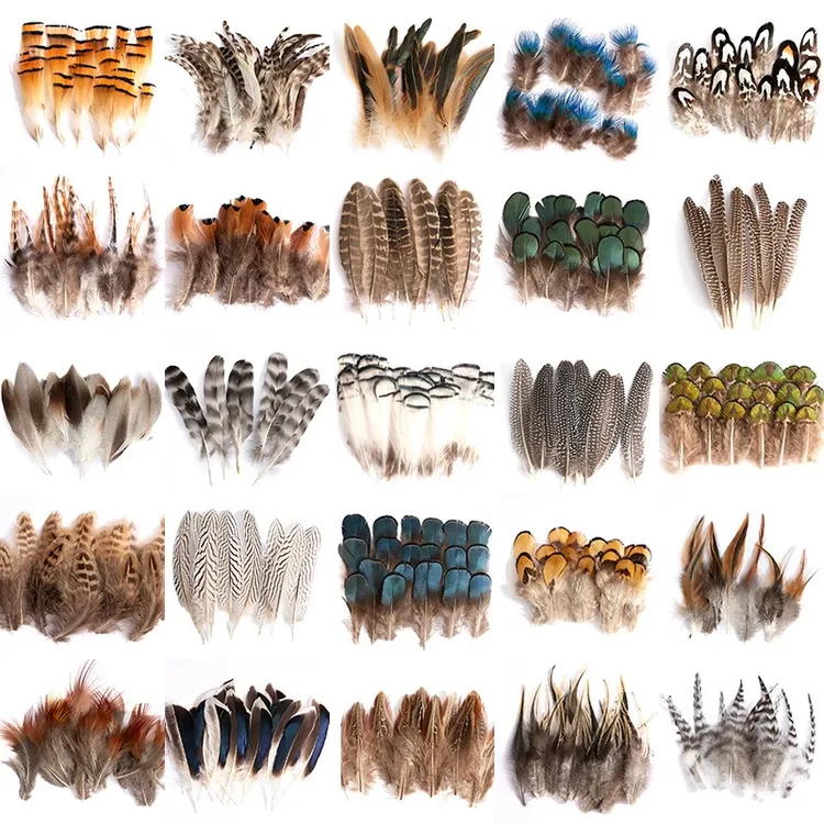 猫咪丰荣玩具天然野鸡毛羽毛逗猫玩具随机20根不同类型禽类羽毛