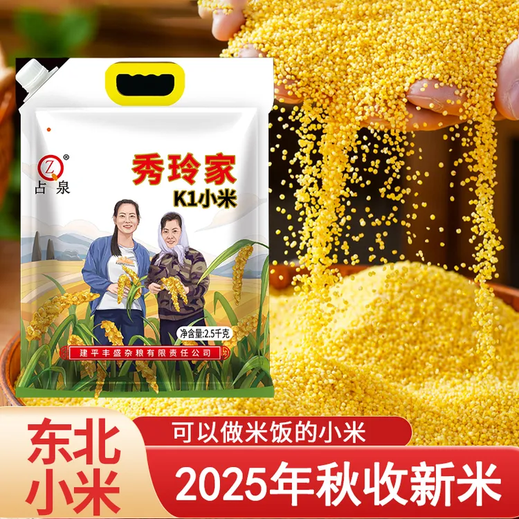秀玲姐辽宁朝阳2025年秋收黄金苗K1小米