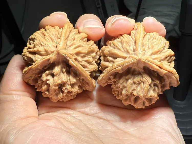 非凡出品精品三棱