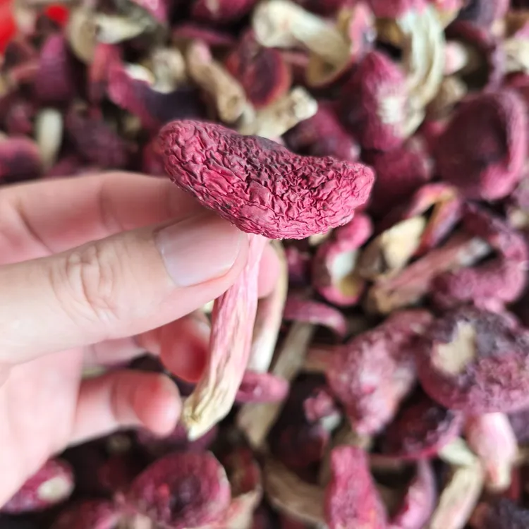 （中标红菇）25年精选蓝底灰肉正新红菇煲汤滋补送礼佳品干货晒干