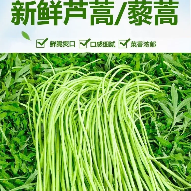 新鲜藜蒿芦蒿泥蒿柳蒿切根去叶农家蔬菜纯天然现摘现发云南云南