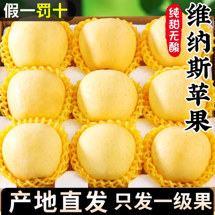 苹果新鲜水果现摘现发正宗黄金维纳斯苹果优质圣诞平安夜苹果送礼