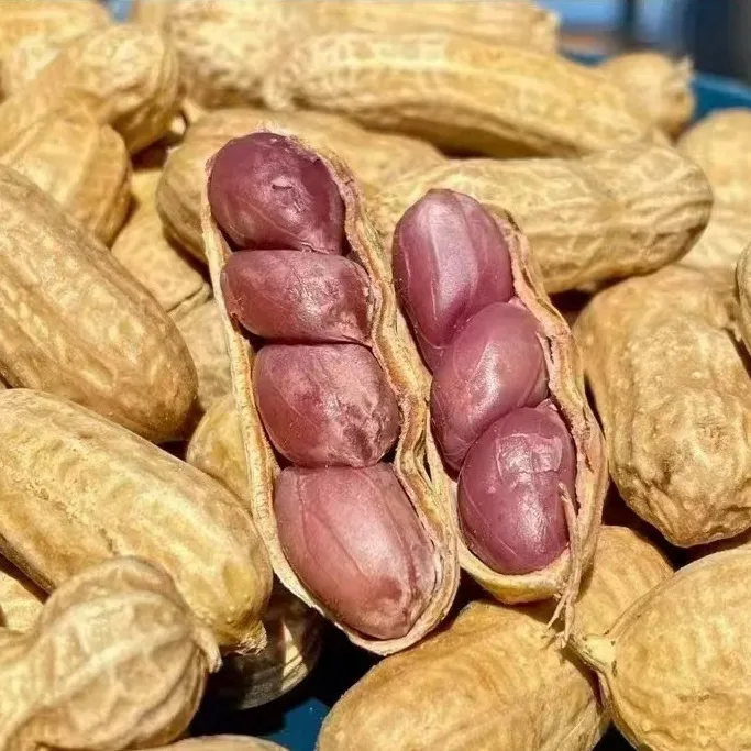 竹笼蒸花生精选四粒红花生粉香软糯坚果零食下酒菜