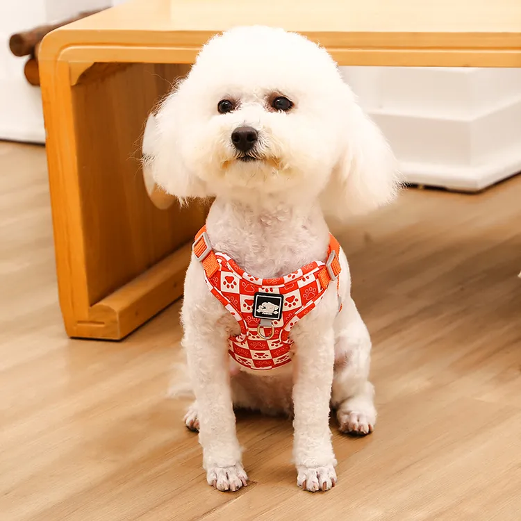 背心式狗狗牵引绳小型犬泰迪比熊博美胸背带小狗幼犬遛狗绳狗链子