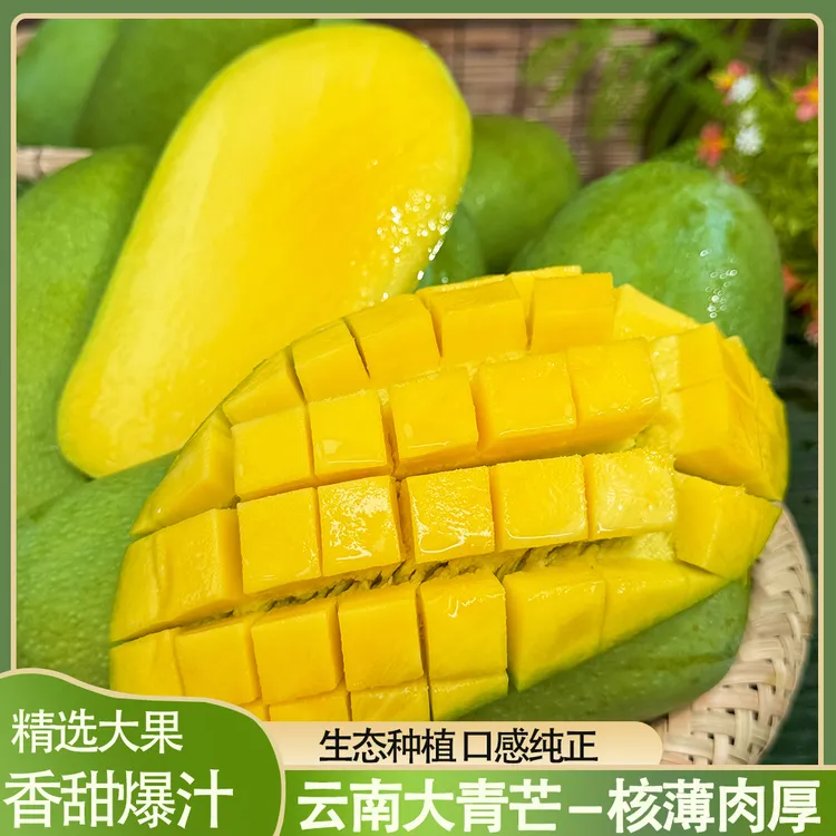 【小满家果园】云南青皮金煌芒新鲜采摘大青芒软糯香甜个大皮薄核小