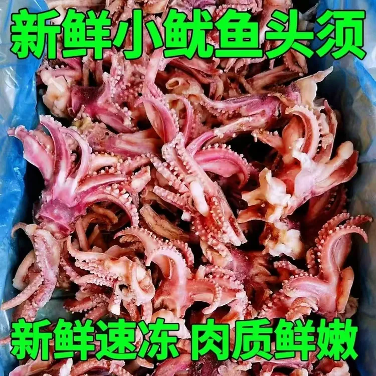 【到手5斤】小鱿鱼须新鲜冷冻鱿鱼头小八爪须烧烤餐饮食材批发