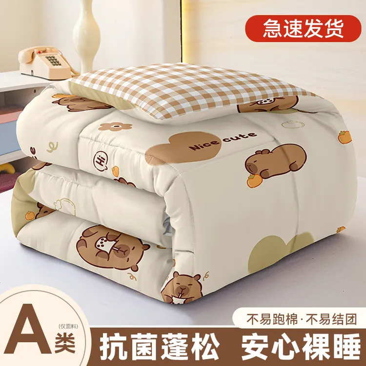 四季通用被子春秋被绵被家用单双人儿童冬被加厚保暖打工被褥被芯
