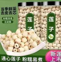 去芯莲子磨皮莲子干货饱满颗粒均匀煮粥煲汤佳品M