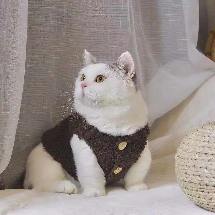 猫咪衣服秋冬天防寒泰迪茶杯犬加厚加绒羊羔绒马甲背心狗狗宠物衣