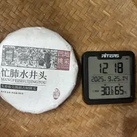 2022年忙肺水井头凹地挑采头春春尖普洱生茶饼200克H70号9月21日