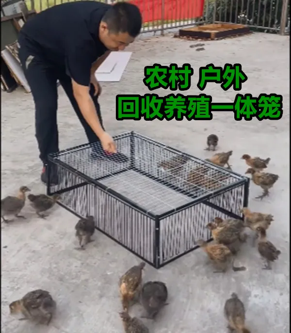 笼子鸡鸭家禽金属笼网鸽子笼回收