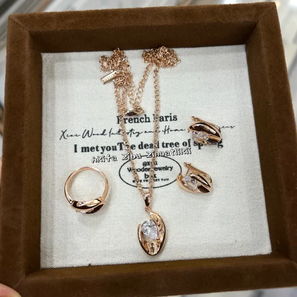 钛钢项链 阿热发新款时尚大方百搭气质玫瑰金色三件套 轻奢长款