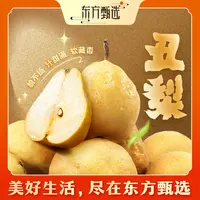 东方甄选自营丑梨软糯多汁当季新鲜水果丑梨产地直发整箱坏果包赔