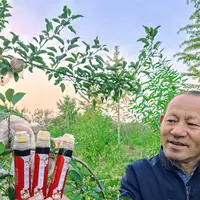 沐琪妈妈便携装秋梨膏 配料只有梨 每支130克 2/4/8支包邮