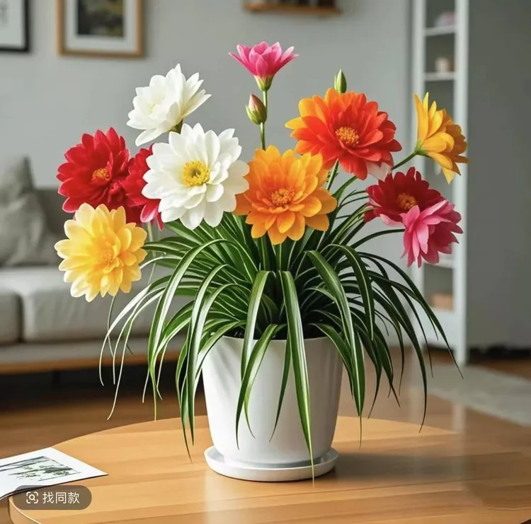 【香水味】金娃娃球根吊兰绿植盆栽重瓣浓香花卉绿植四季种植好养活