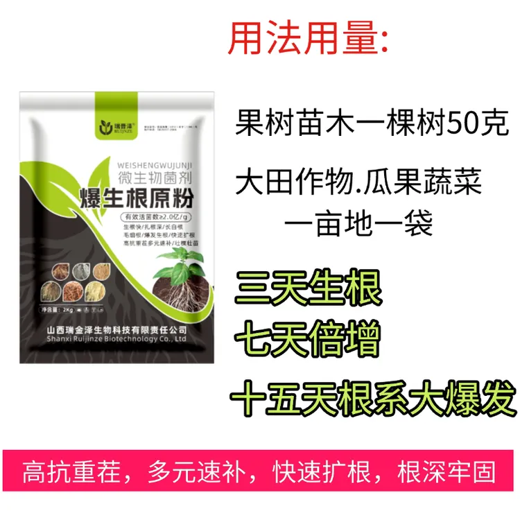 爆生根原粉，三天生新根，七天倍增