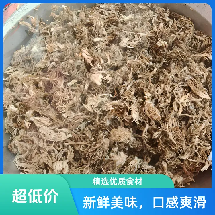 四川高山野生珊瑚菌刷把菌扫把菌可爆炒炖汤焯水真空发货
