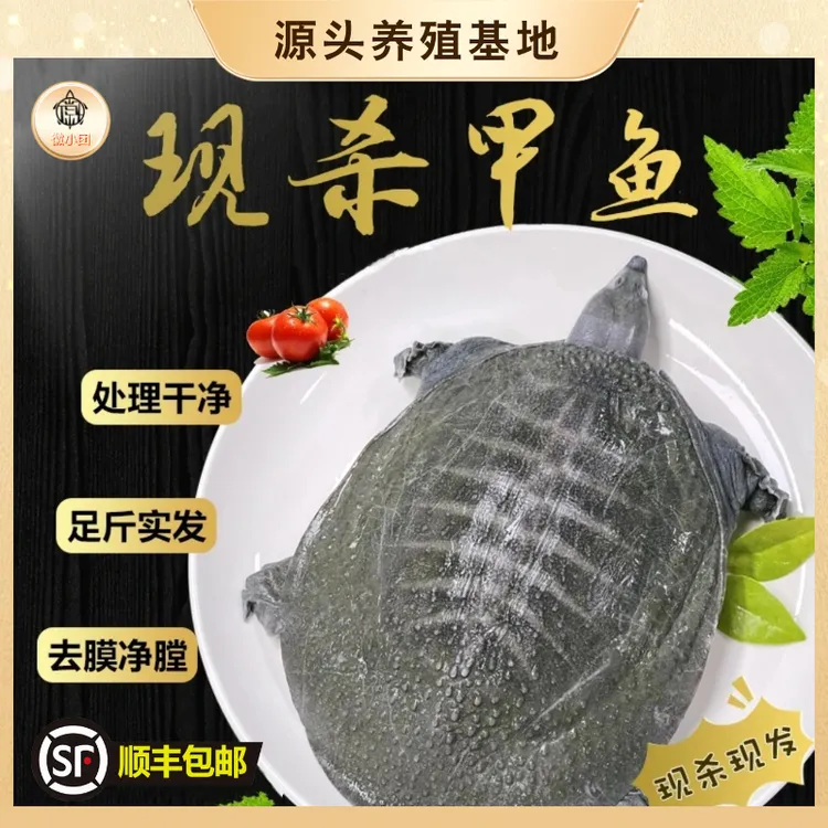 【两只装】鲜活现杀甲鱼去皮放养生态王八鳖肉真空速冻新鲜顺丰包邮
