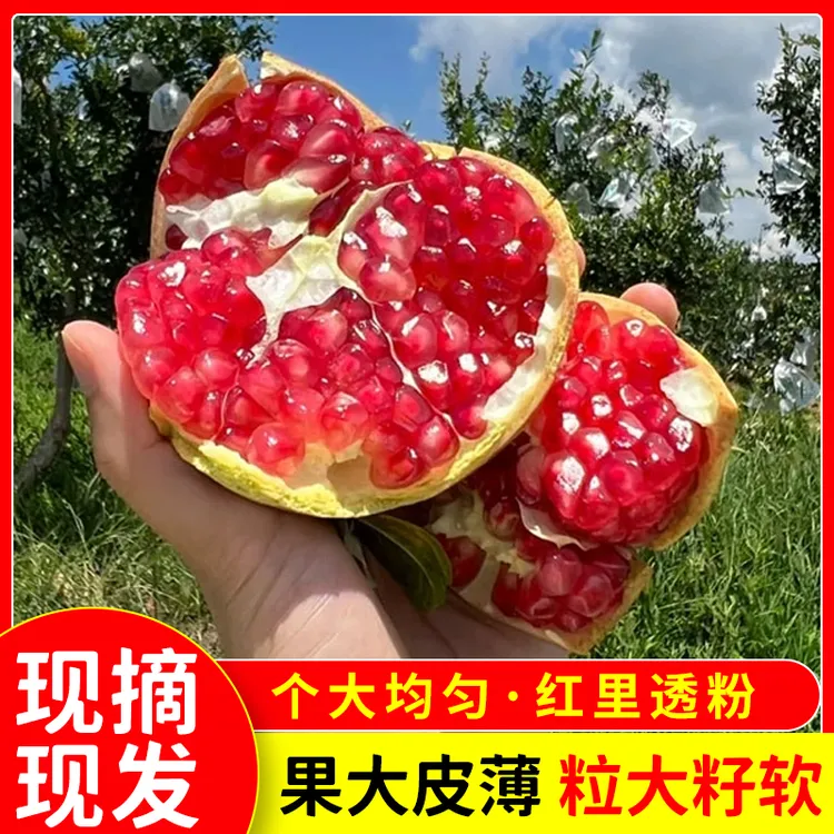 正宗陕西临潼【特大果石榴】临潼石榴爆甜多汁整箱装新鲜水果红石榴