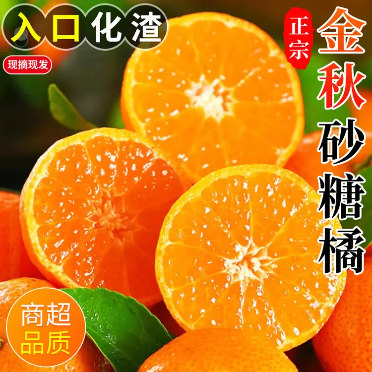 正宗金秋砂糖橘橘子现摘现发桔子新鲜当季水果源头直发包邮