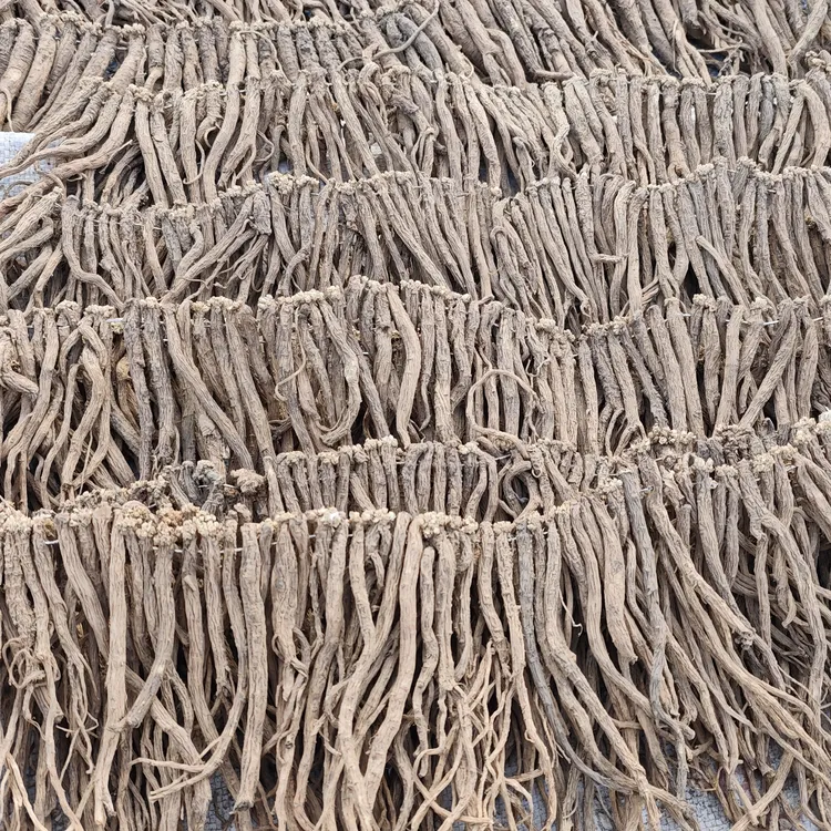 甘肃定西原产地（党参）柔干 带铁丝，可滋补适合煲汤泡水炖肉煮水