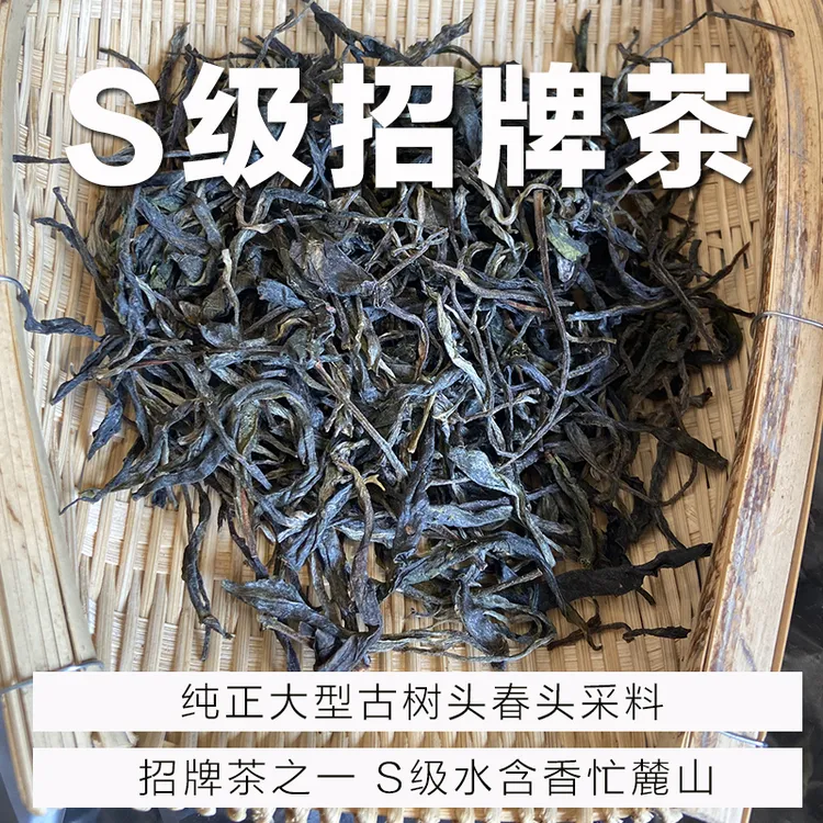 S级 招牌茶水含香-忙麓山普洱茶生茶头春古树茶纯料