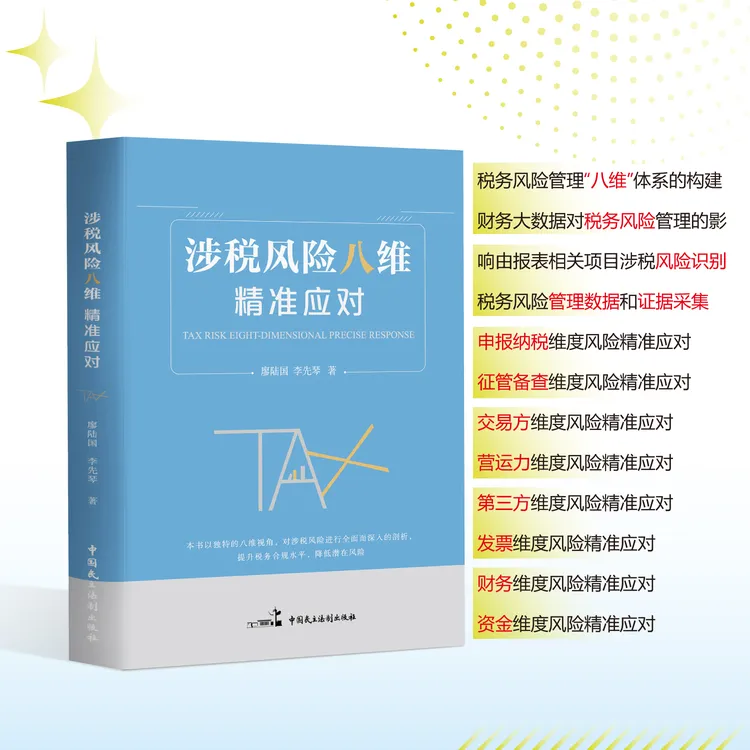 涉税风险八维精准应对 廖陆国 李先琴著会计财务申报纳税财税合规