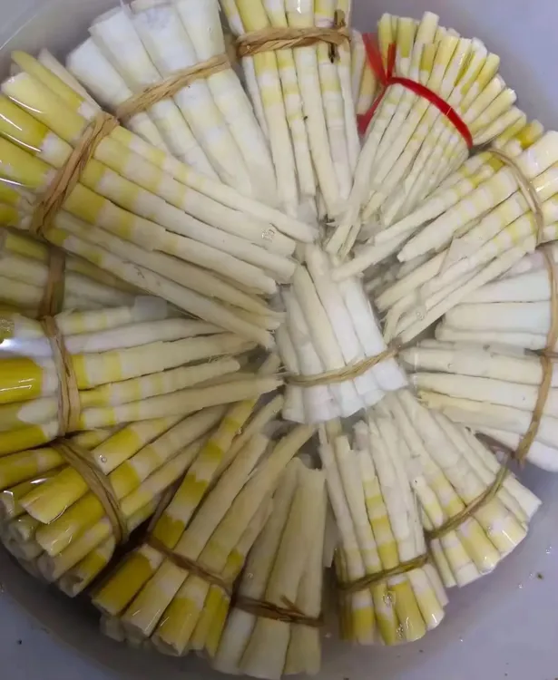 新鲜苦笋莽山特产真空包装美味时令山珍