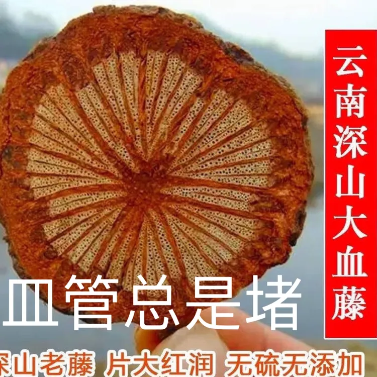 云南深山红藤五花血藤大血藤