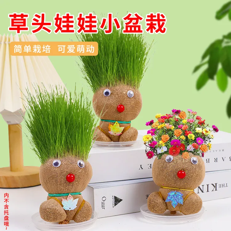 【疆藏包邮】两个室内种植长草可爱草头娃娃小盆栽手工桌面绿植盆栽