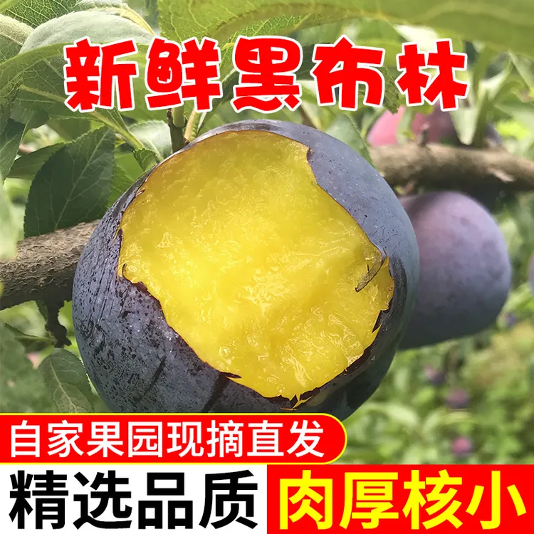 陕西正宗黑布林大李子黄心头茬现摘现发酸甜新鲜应季水果整箱包邮