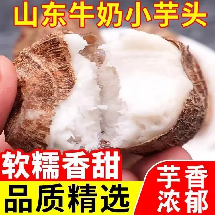 山东牛奶新鲜小芋头新鲜芋艿