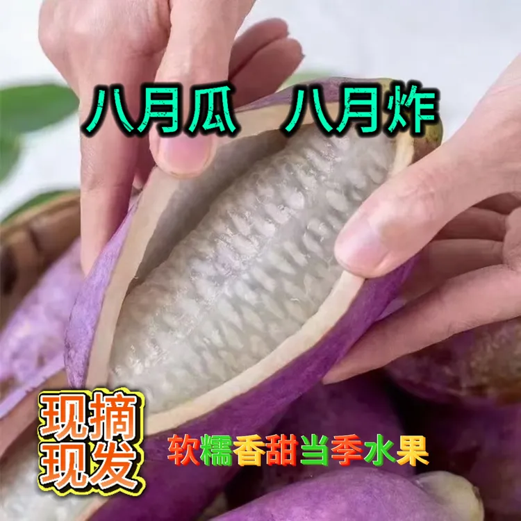 〔桑植卓群〕八月瓜新鲜水果张家界八月炸现摘现发软糯香甜包邮