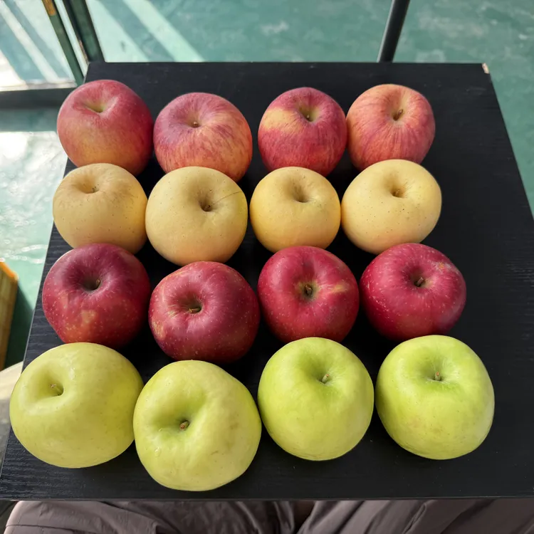 四拼，瑞香红，维纳斯黄金，瑞雪，丑妃，净重8.5个头不均坏果包赔