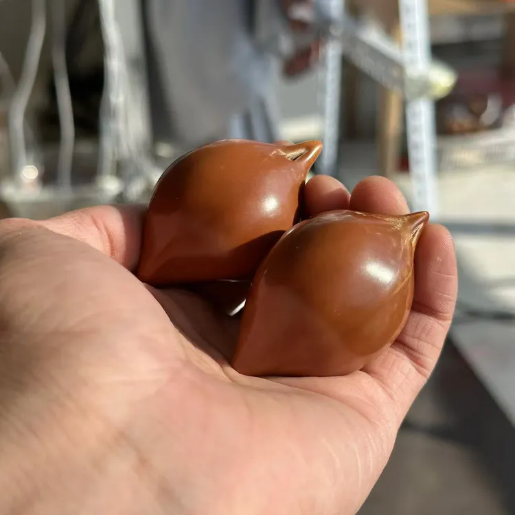 巴布亚三花矮桩橄榄手球 尺寸可选