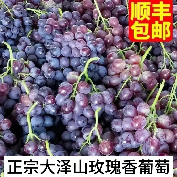 新鲜采摘当天发货顺丰包邮正宗山东平度大泽山玫瑰香葡萄口感纯正