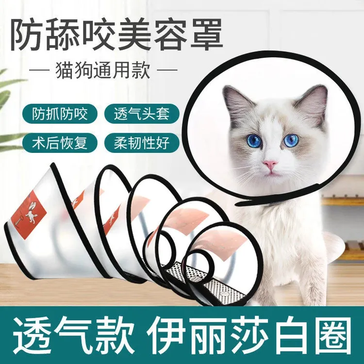 伊丽莎白圈猫咪项圈脖套绝育圈宠物防咬防舔神器耻辱圈狗狗头套