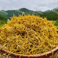 【现收正宗黄金龙须石斛】泡水无硫