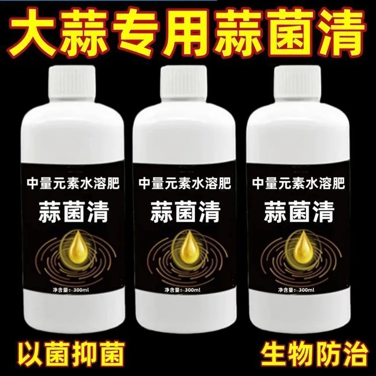 大蒜菌病清原液葱姜蒜一扫净大蒜病菌清专用伴种剂干尖黄叶白粉病
