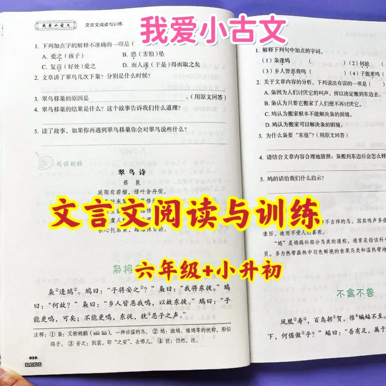小学生文言文阅读与训练六年级必背文言文小升初必备 我爱小古文