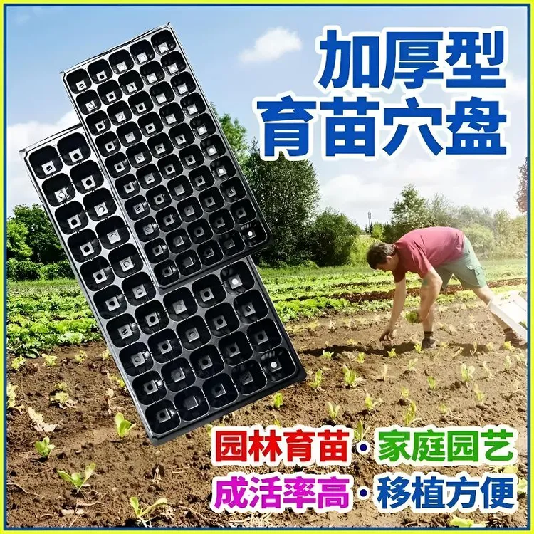 育苗穴盘苗盘玉米种子育秧盘育苗盒加厚一次性育苗盘多功能平底