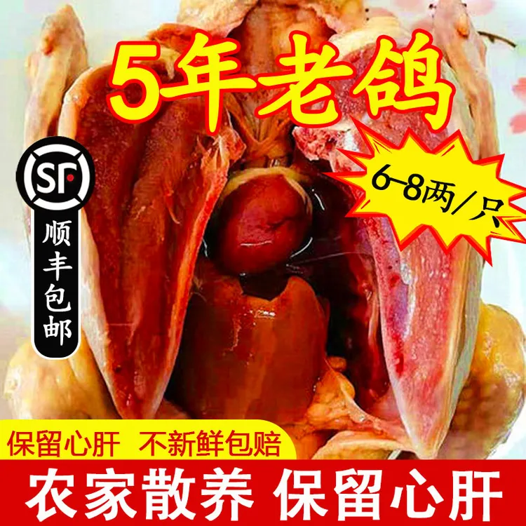 正宗农家散养鸽子肉乳鸽老鸽子生鲜现杀新鲜煲汤孕妇滋补顺丰包邮