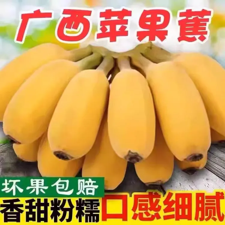 正宗苹果蕉整箱水果小米蕉当季孕妇现摘自然熟新鲜广西糯香蕉粉蕉
