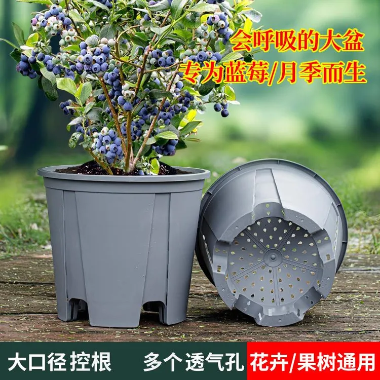 蓝莓专用大盆树脂加厚圆形特大青山控根盆月季花卉绿植呼吸种植盆