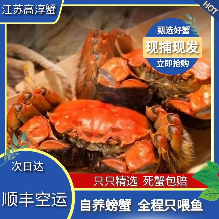【活蟹】精品折腿大闸蟹4两公蟹3两母蟹10只左右3斤装