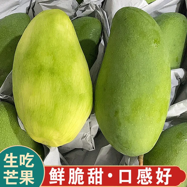 新鲜采摘青芒果生吃脆甜广西网红酸嘢大青芒生腌芒果生熟两吃水果