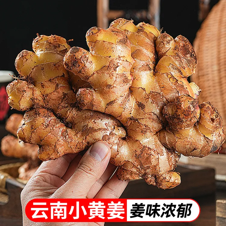 【鲜蜂队】云南小黄姜新鲜老姜生姜块3斤5斤当季蔬菜TY商品图