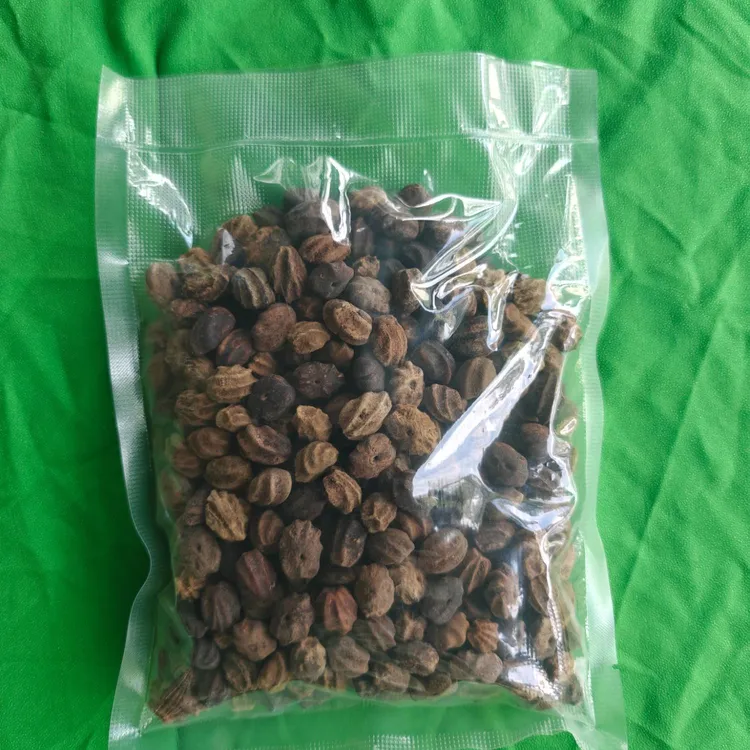 龙骨菩提子原籽，已晒干无加工，2025年产新果，下单请仔细阅读商详